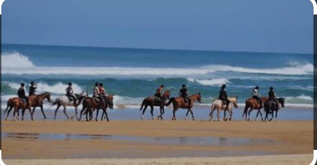 Hebergement Bord De Mer Casablanca Exterior foto